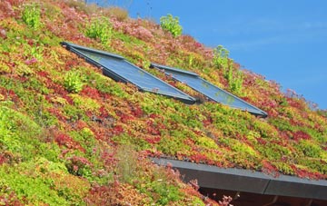 Grundisburgh living roof systems